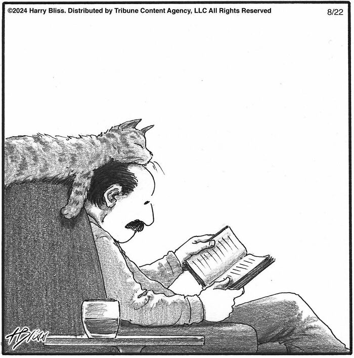 Man reading a book with a cat napping on his head, drawn by Harry Bliss.