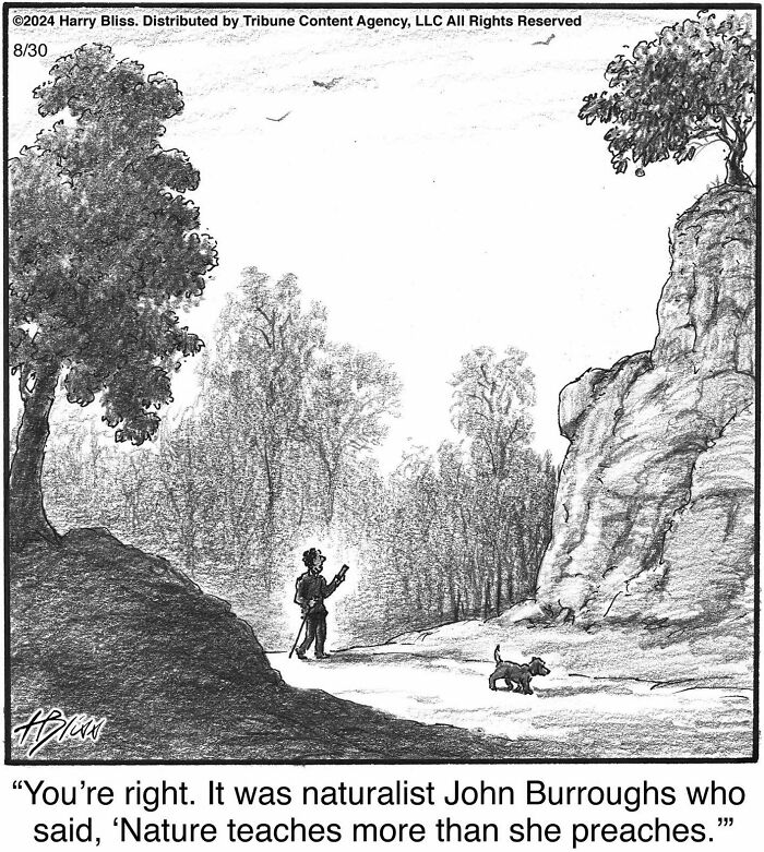 A person with a dog in a forest, referencing nature's teachings, drawn by Harry Bliss in a one-panel comic.