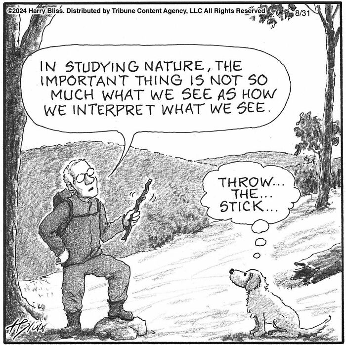 Man holding stick in nature, reflecting on interpretation; dog eagerly waits for him to throw the stick. Comic by Harry Bliss.