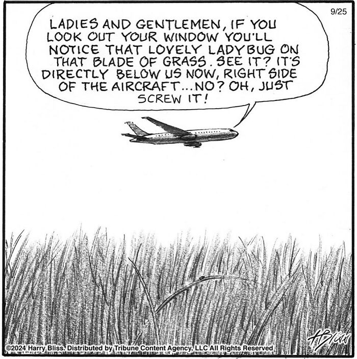 Airplane flies over grass while pilot humorously points out a ladybug in a one-panel comic by Harry Bliss.