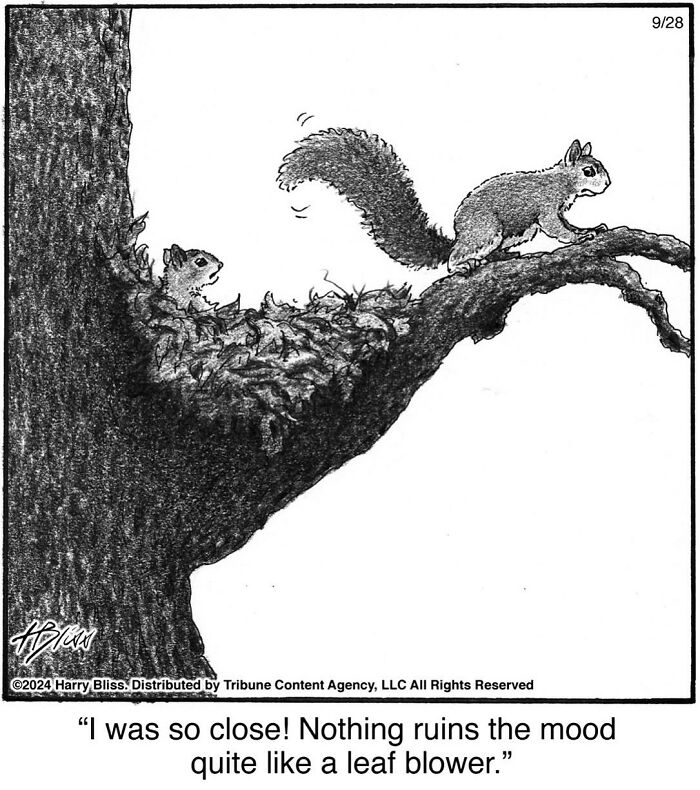 Two squirrels humorously interact on a tree branch, illustrating a comic by Harry Bliss.