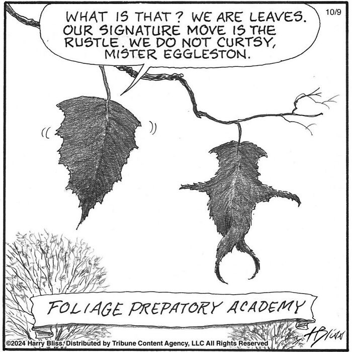 Two leaves humorously debate their "rustle" skills in a Harry Bliss comic titled "Foliage Preparatory Academy."