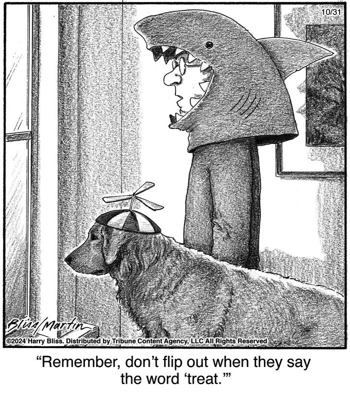 Shark-costumed person and dog with hat in a humorous one-panel comic by Harry Bliss.