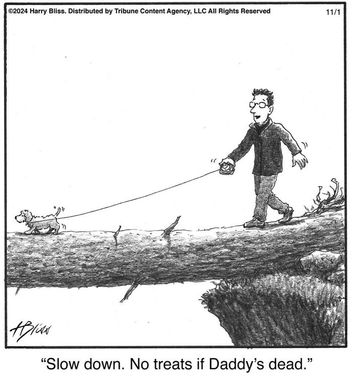 Man walking dog across a log, with humorous caption about slowing down by cartoonist Harry Bliss.