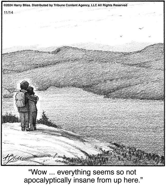 Couple embraces overlooking mountains in a one-panel comic by Harry Bliss, captioned humor about calmness amidst chaos.