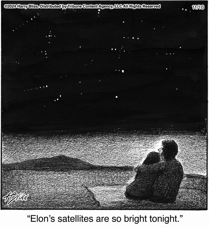 A humorous comic by Harry Bliss showing a couple stargazing and commenting on Elon’s satellites.