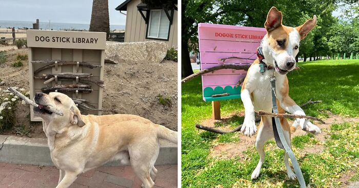 Adorable Idea Of Stick Library For Dogs Is Melting People’s Hearts All Over The Internet