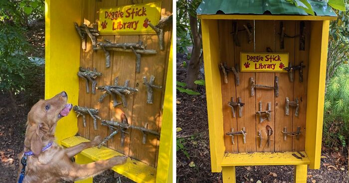 Adorable Idea Of Stick Library For Dogs Is Melting People’s Hearts All Over The Internet