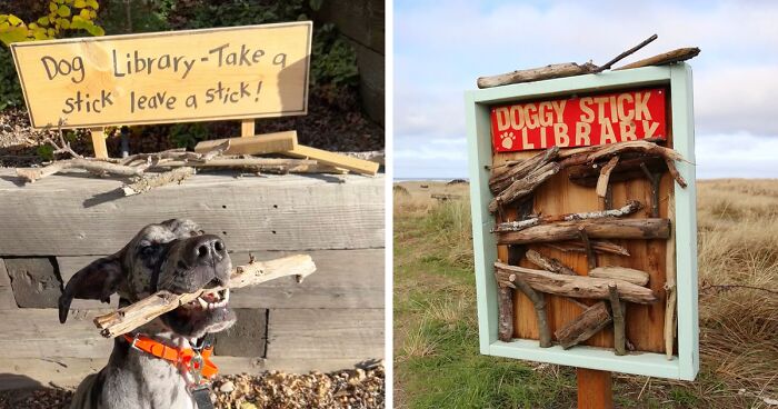 Library That Rents Out Sticks To Dogs Goes Viral As People Online Love The Spectacular Idea