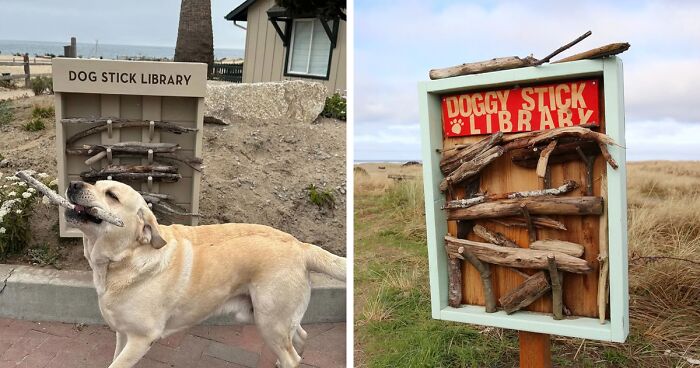 Brilliant Stick Library Idea For Dogs Is Going Viral All Over The World