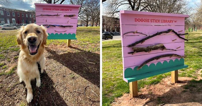 This Library Rents Out Sticks Instead Of Books, And Netizens Can’t Get Enough Of The Adorable Idea