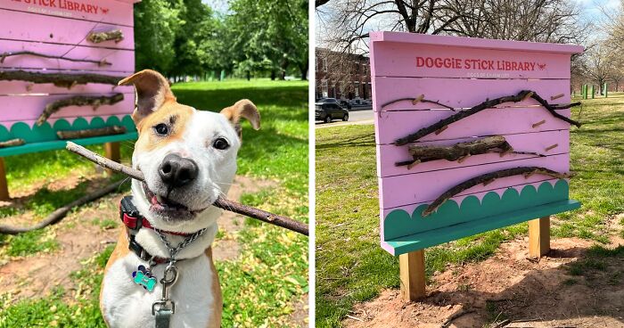 Library That Rents Out Sticks To Dogs Goes Viral As People Online Love The Spectacular Idea