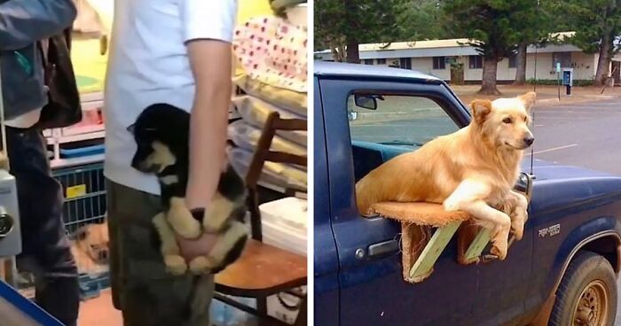 30 Lovely Pictures That Might Make Your Day A Tad Better