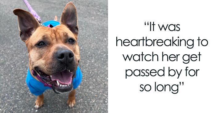 Duchess Was The Longest Resident At The Shelter, But All Turned Out Better Than Anyone Expected