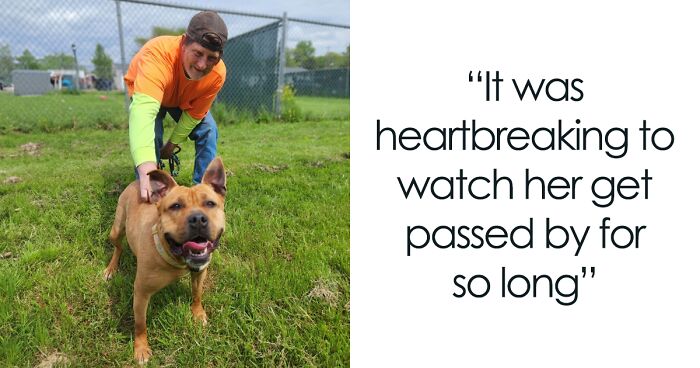 Duchess Was The Longest Resident At The Shelter, But All Turned Out Better Than Anyone Expected