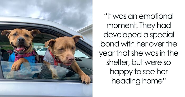 Duchess Was The Longest Resident At The Shelter, But All Turned Out Better Than Anyone Expected