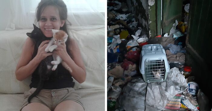 We Are Running The Biggest Shelter In Romania With Over 350 Cats, And We Are In Urgent Need Of Help