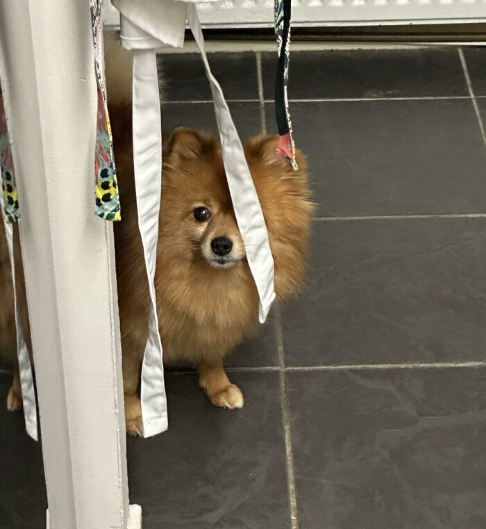 She Thinks She’s Hidden And Watching Me While I Cook…