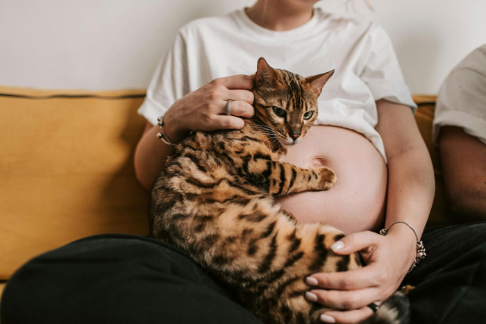 New mom sitting with a cat on her pregnant belly, capturing a calm moment at home.