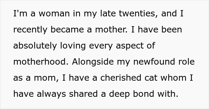 Text excerpt about a new mom enjoying motherhood and bonding with her cherished cat.