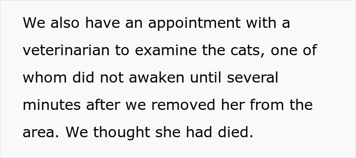 Hotel room smoke incident text about cat and vet appointment.