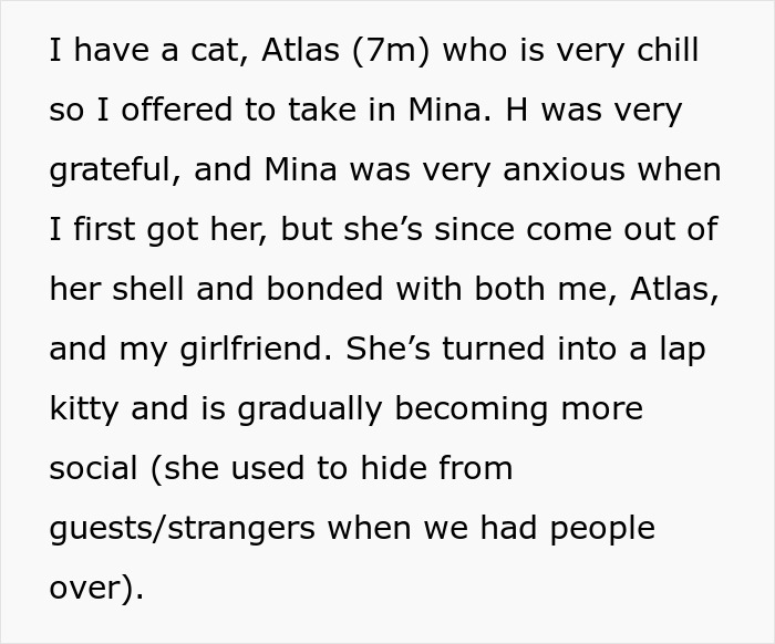 Text detailing a woman's effort to rehome her cat, Mina, as it becomes social.