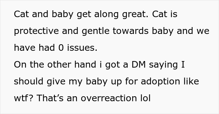 Text about the relationship between the cat and baby, with a reaction to an extreme comment.