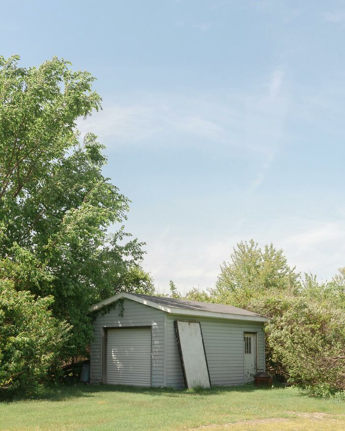 Secluded gray shed surrounded by lush greenery under a blue sky.