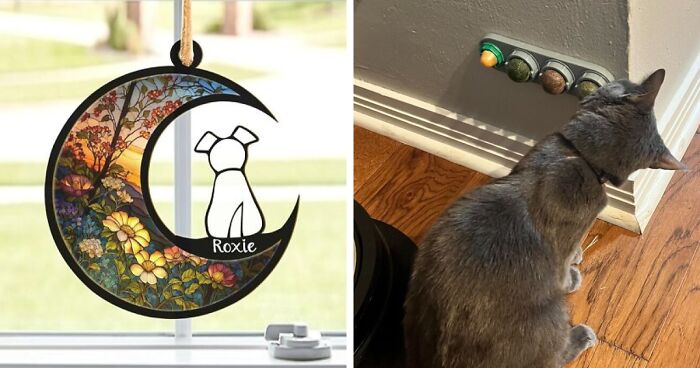 22 Paw-fect Gifts For Pets And Their Obsessed Humans