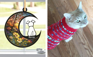 22 Paw-fect Gifts For Pets And Their Obsessed Humans