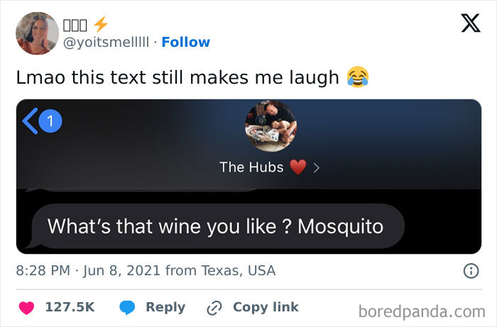 Funny text message about wine named "Mosquito" from "The Hubs," part of the best texts of 2024.