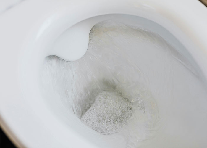 Toilet flushing water surprise in someone's home.