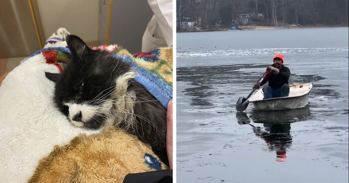 People Online Are Joyous After 20 YO Blind Cat Who Got Stuck On Ice Chunk In A Lake Gets Rescued