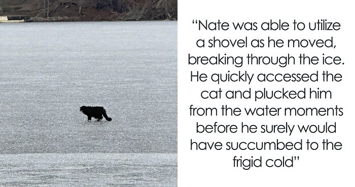 20YO Blind Cat Found Stuck On Ice Chunk In Lake, Community Pulls Off A Miraculous Rescue