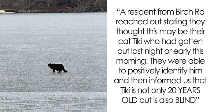 Local Heroes Rescue 20 YO Blind Cat Who Got Stuck On Ice Chunk In A Lake, Get Praised By Netizens