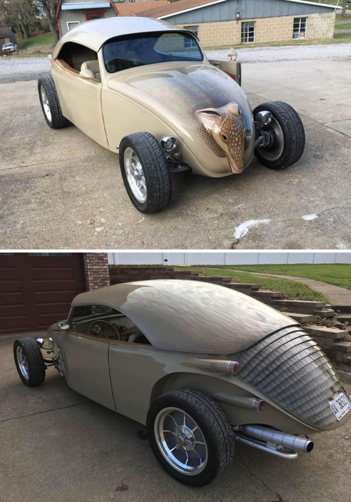 Unusual car design with armadillo-themed features showcasing car-fails creativity.