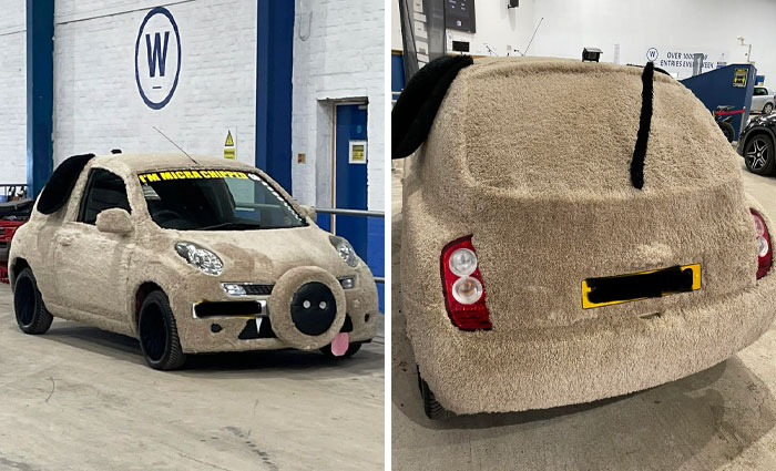 Car-fail with furry exterior and dog-themed details, parked indoors.