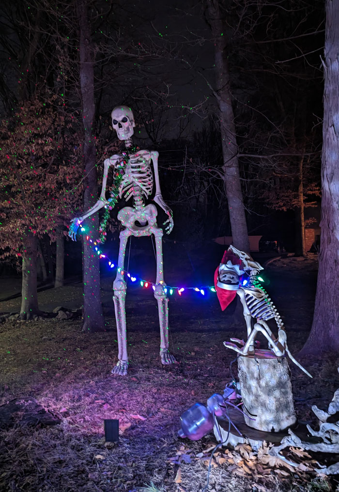 Skeletons in a forest setting adorned with colorful Christmas lights, showcasing unique Christmas decorating ideas.