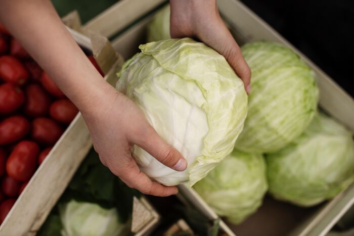 Hands picking up a cabbage from a box at a market, with nearby tomatoes, possibly depicting a travel-related market experience.