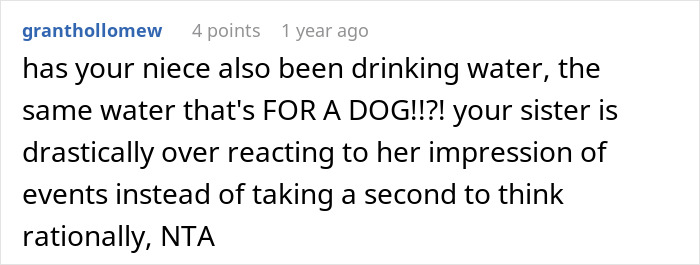 Text comment discussing a niece drinking dog water and overreaction.