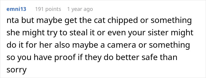 Text comment suggesting microchipping a rehomed cat and using a camera for proof to prevent theft.