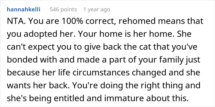 Comment discussing rehoming a cat and the owner's entitlement.