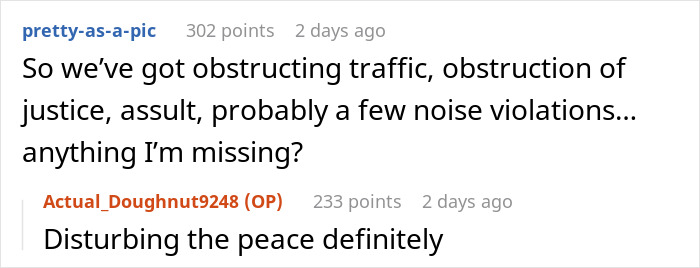 Reddit conversation listing traffic obstruction, justice obstruction, assault, and peace disturbance.