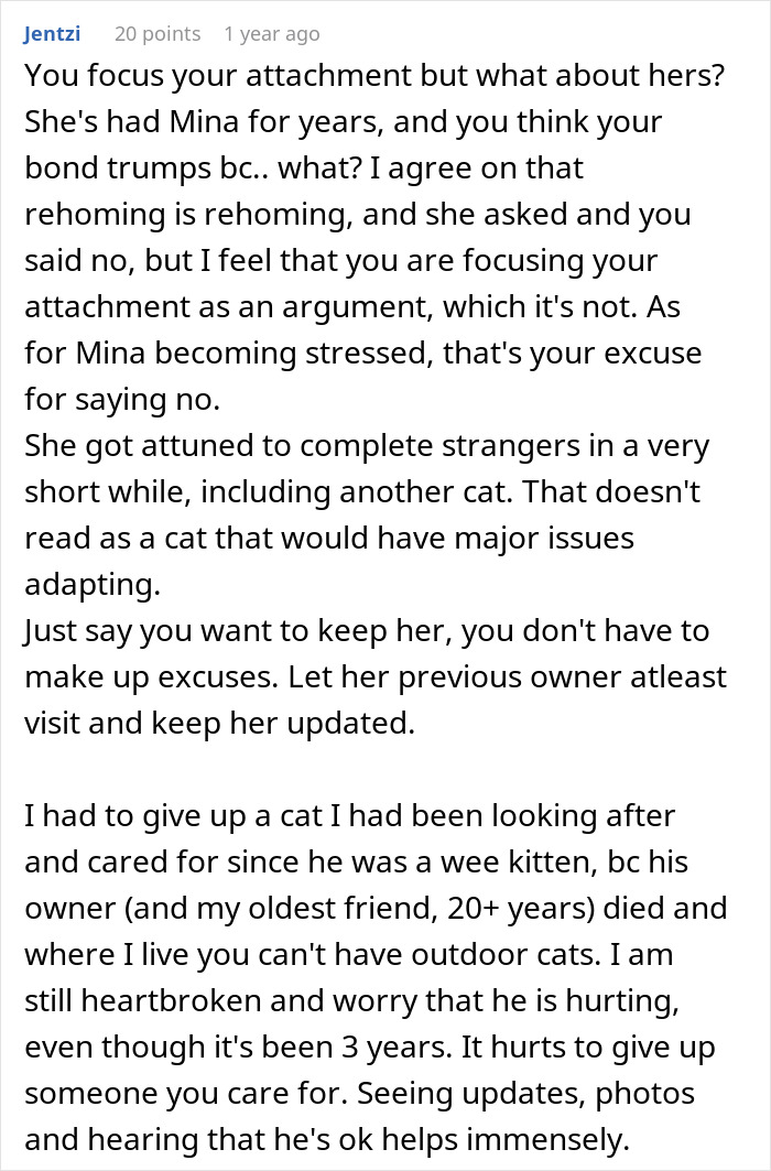 Comment discussing the rehoming of a cat and attachment issues, emphasizing the importance of updates.