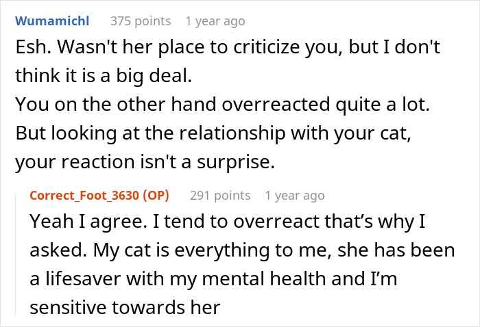 Online discussion about new mom balancing baby and cat responsibilities.