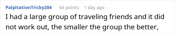 Comment about travel plans with friends, highlighting issues with large group dynamics.