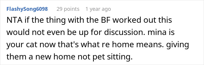 A comment discussing rehoming a cat and the meaning of rehoming.