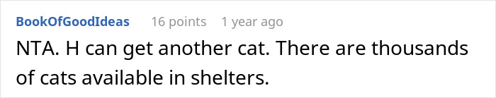 Comment discussing rehoming cats, suggesting adoption from shelters.