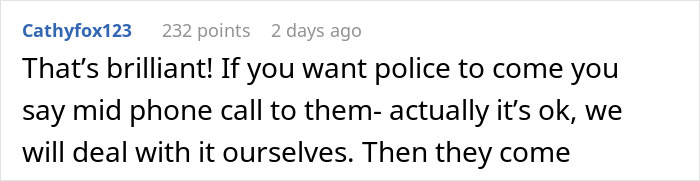 Comment discussing illegal parking and dealing with it without police.