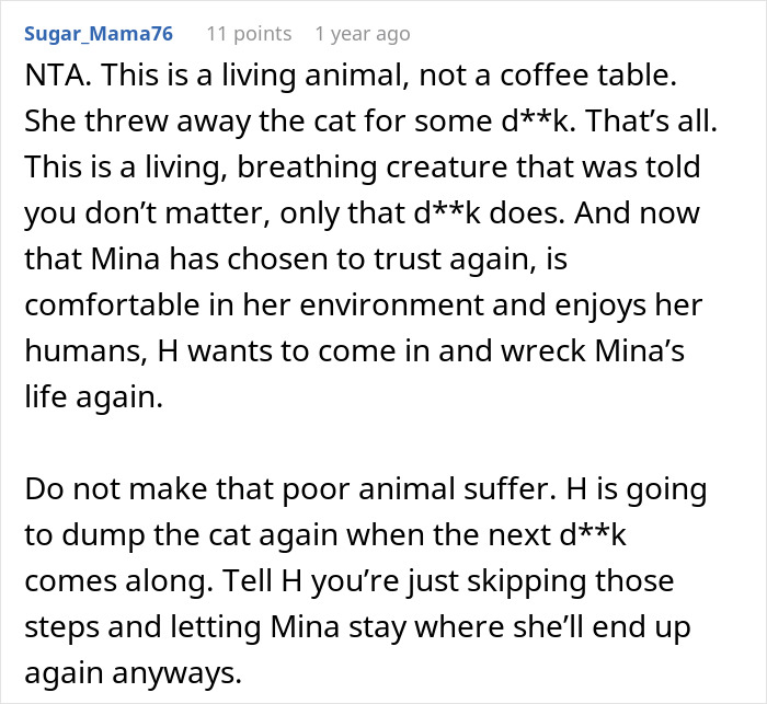 Screenshot of a comment discussing a woman's decision to rehome her cat and the consequences of wanting it back.